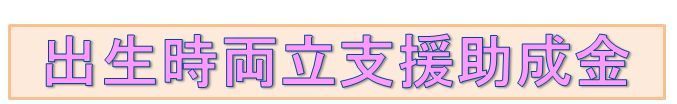 syussyoujiryouritsushien.jpg